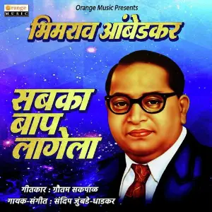 Bhimrao Ambedkar Sabka Baap Lagela image