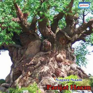 Parijat Haran image