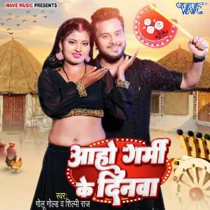 Aho Garmi Ke Dinwa image