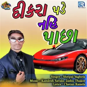 Dikra Pade Nahi Pachha image