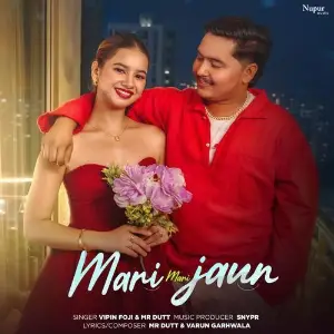 Mari Mari Jaun image