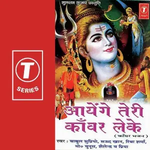 Ayenge Teri Kanwar Leke image