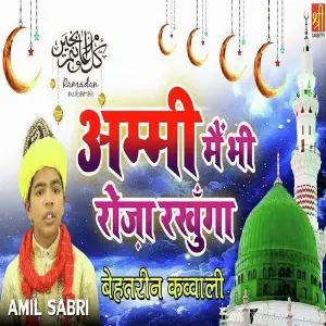 Ammy Mai Bhi Roza Rakhunga image