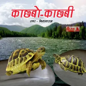 Kachhabo - Kachhabi image