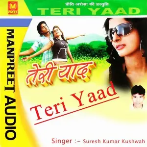 Teri Yaad image