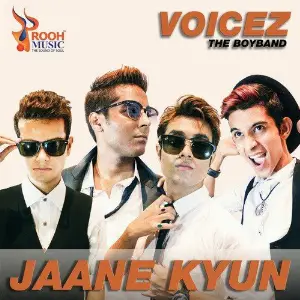 Jaane Kyun image