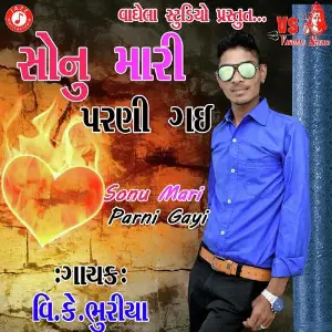 Lakh Rupiya Ni Ladi Layo Davo Bhari V.K. Bhuriya
