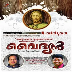 Vaidyan image