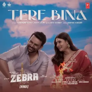 Tere Bina (From Zebra) image