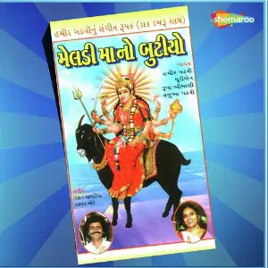 Meldi Maa No Butiyo image