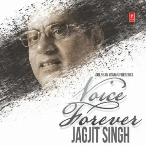Voice Forever image