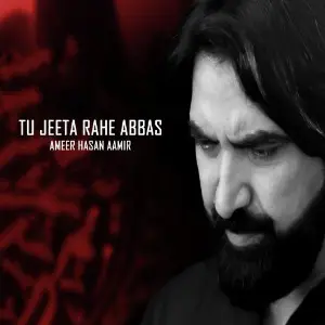 Tu Jeeta Rahe Abbas image