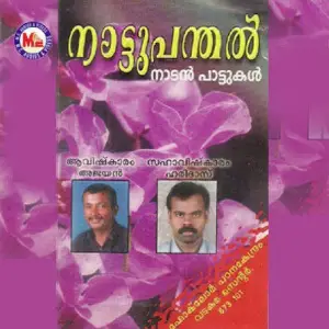 Nattupandal image