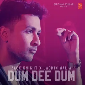 Ishqam Zack Knight