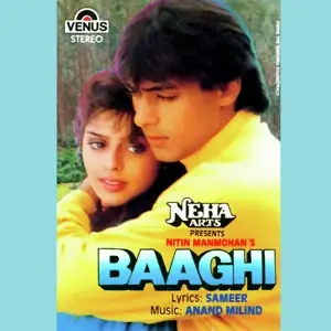 Baaghi - A Rebel For Love image