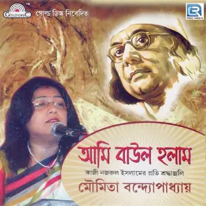 Aami Boul Holam image