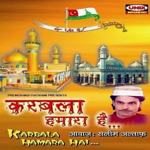 Karbala Hamara Hain image
