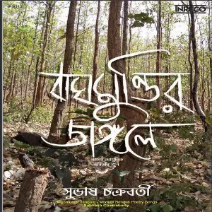 Baghmundir Jangale image