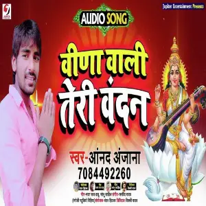 Vina Vaali Teri Vandana image