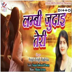 Lambi Judai Teri image