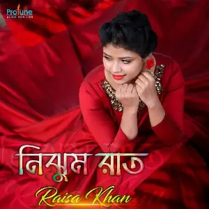 Nijhum Raat image