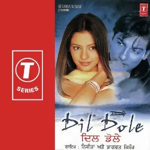 Dil Dole image