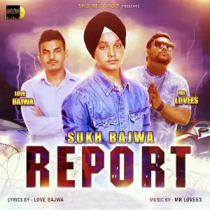 Report image