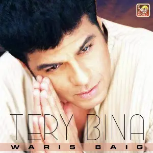 Tery Bina - Single image