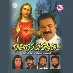 Ninnodukoode image