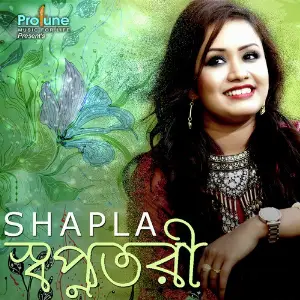 Shopno Tori image