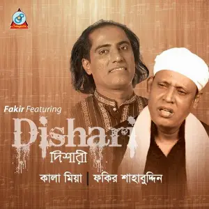 Dishari image
