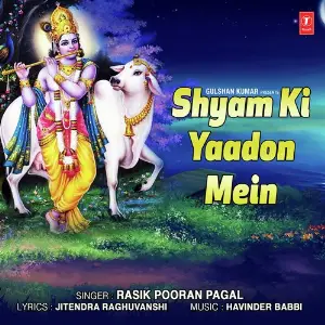Shyam Ki Yaadon Mein image