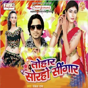 Tohar Solaho Sringar image