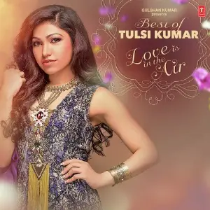Best Of Tulsi Kumar Love Is In The Air - Romantic Hits image