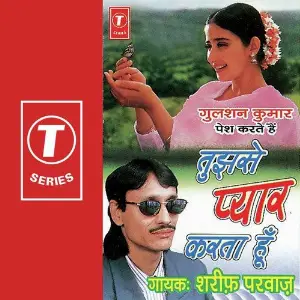 Tujhse Pyar Karta Hoon image