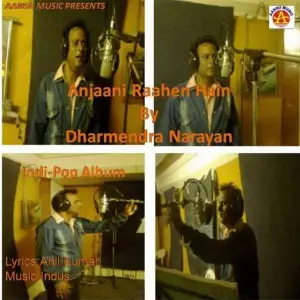 Anjaani Raahen Hain image