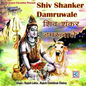 Shiv Shanker Damruwale image