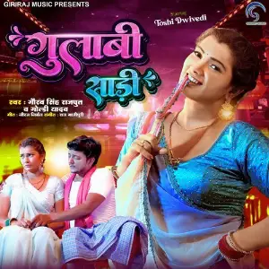 Gulabi Sadi image