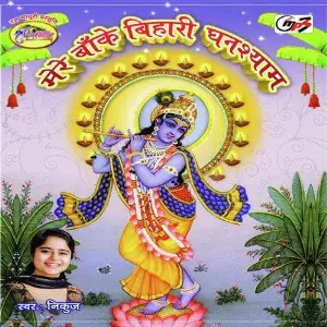 Mere Banke Bihari Ghanshyam image