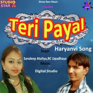 Teri Payal image