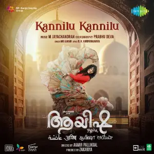 Kannilu Kannilu (From Ayisha) image