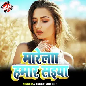 Sause Dehiya Sadha Jai Ho image