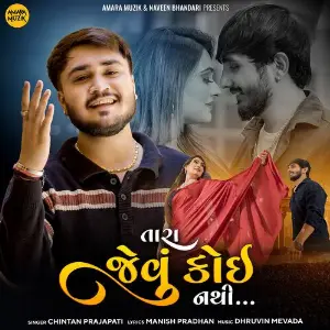 Tara Jevu Koi Nathi image