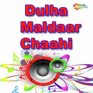 Dulha Maldaar Chaahi image