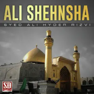 Ali Shehnsha image