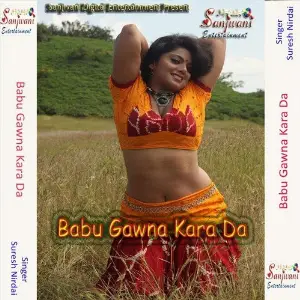 Babu Gawna Kara Da image