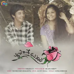 Poovithal Pole image