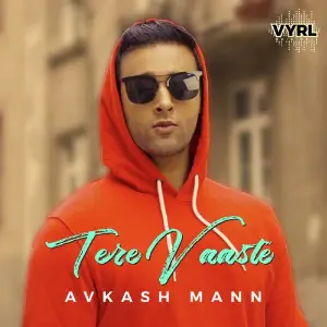 Tere Vaaste image