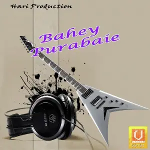 Bahey Purabaie image