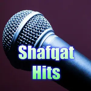 Shafqat Hits image